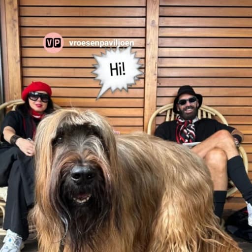Profile image for pet sitters Petra Beatrice & Ted