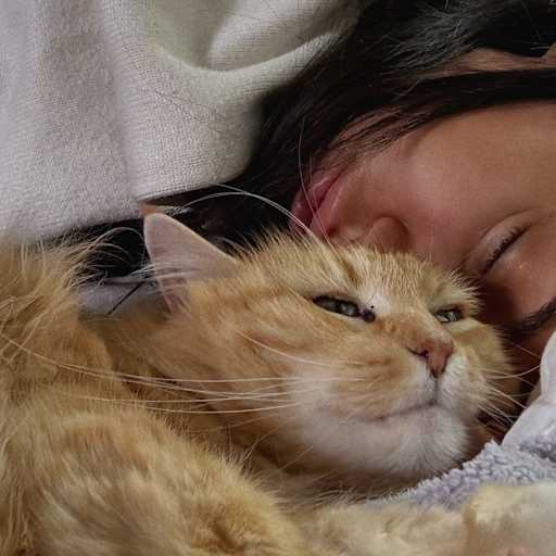 Profile image for pet sitter Iva