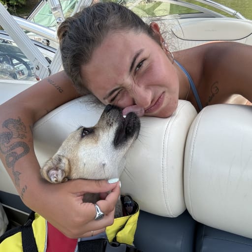 Profile image for pet sitter Sofia