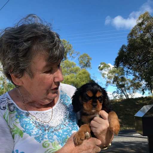 Profile image for pet sitter Denyse