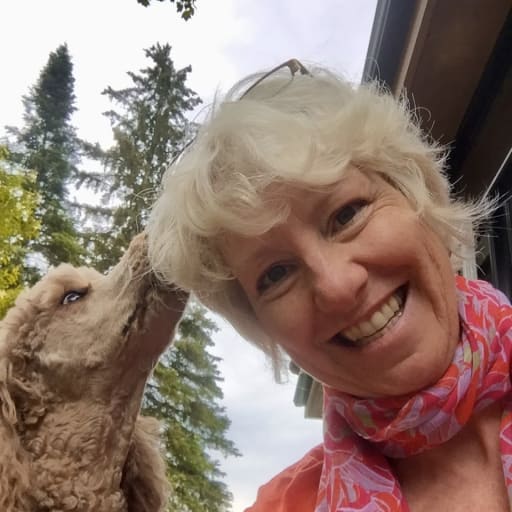 Profile image for pet sitter Kimberley