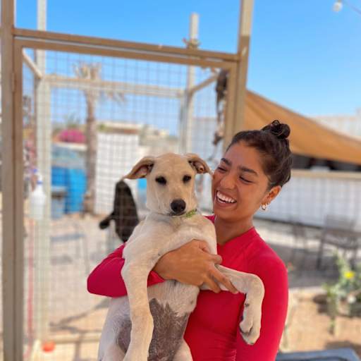 Profile image for pet sitter Isabella