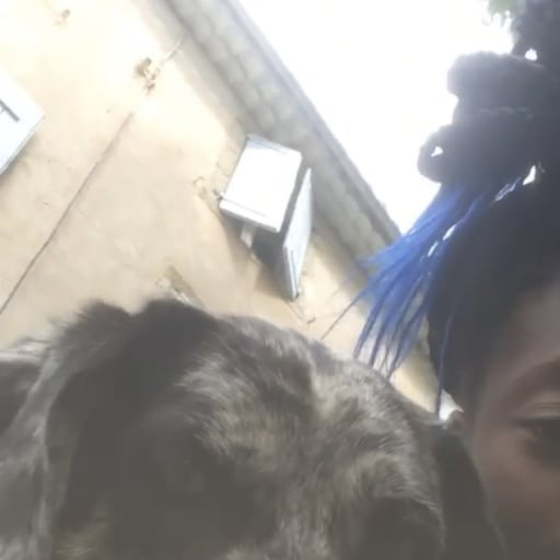 Profile image for pet sitter Mariama