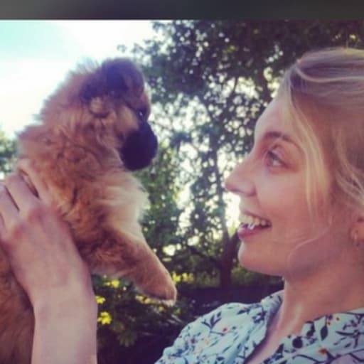 Profile image for pet sitter Kate