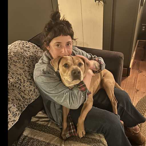 Profile image for pet sitter Taylor