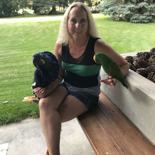 Profile image for pet sitters Holly & Jeff