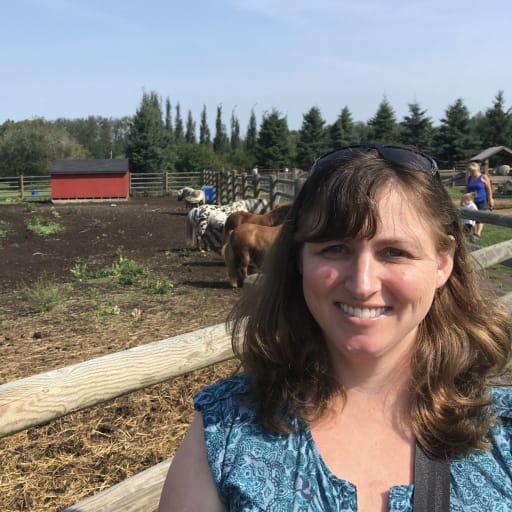 Profile image for pet sitter Tracey