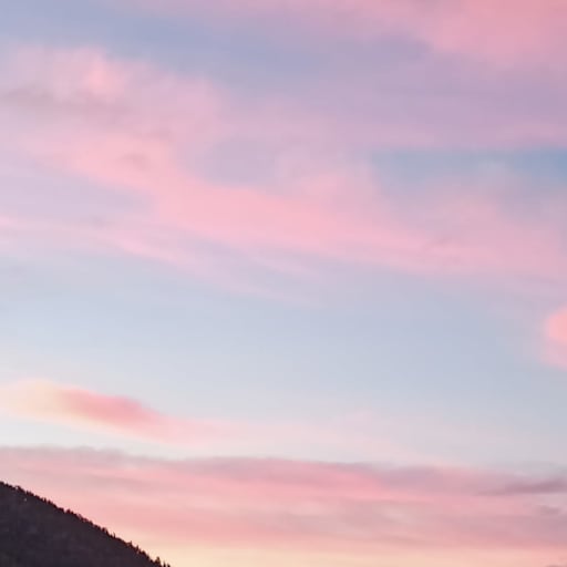 Profile image for pet sitter Georgia