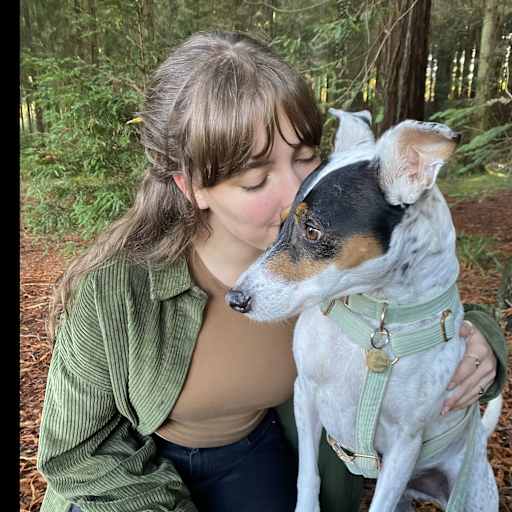 Profile image for pet sitter Belle