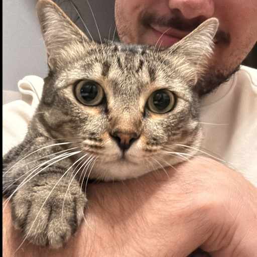 Profile image for pet sitter TIAGO C J