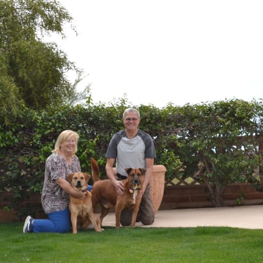 Profile image for pet sitters Burkhard & Heike