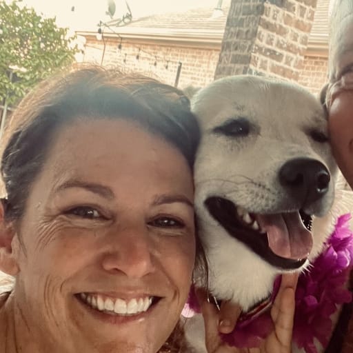 Profile image for pet sitters John & Molly