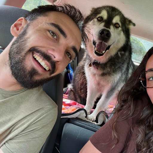 Profile image for pet sitters Élise & Louis