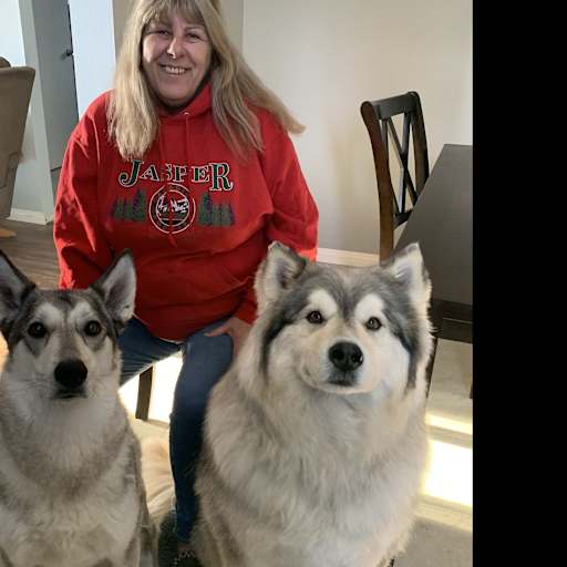 Profile image for pet sitter eileen