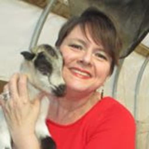 Profile image for pet sitters meg & Sue