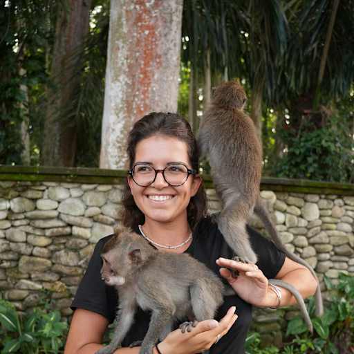 Profile image for pet sitters Jade & Sarah