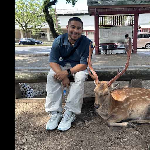 Profile image for pet sitter Damian