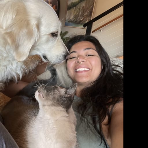 Profile image for pet sitter Allana