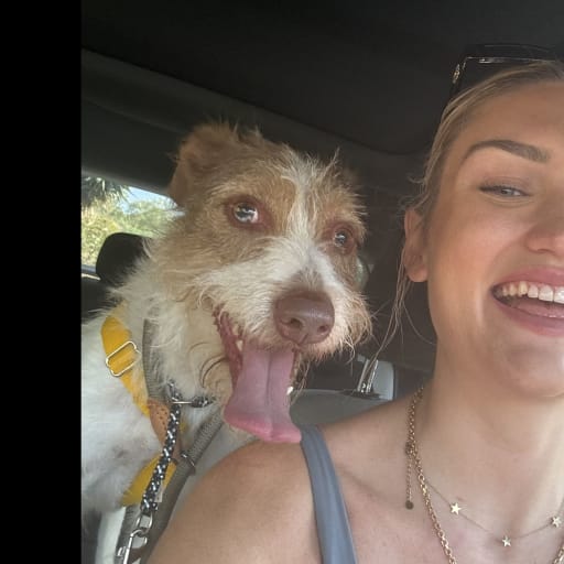 Profile image for pet sitter anna