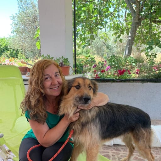 Profile image for pet sitter Maria Isabel