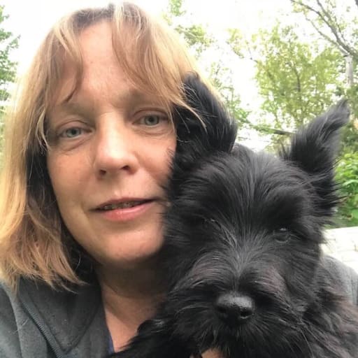 Profile image for pet sitter Carrie