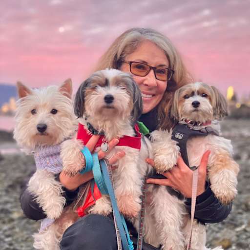 Profile image for pet sitter Denise