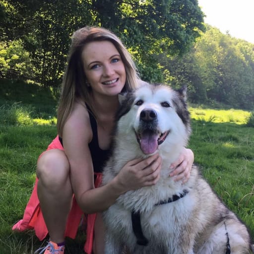 Profile image for pet sitter Ieva