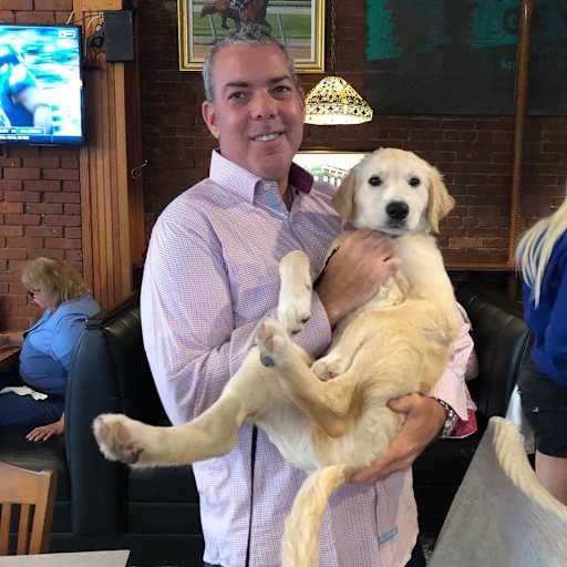 Profile image for pet sitter David