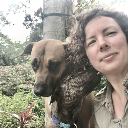 Profile image for pet sitter Patricia