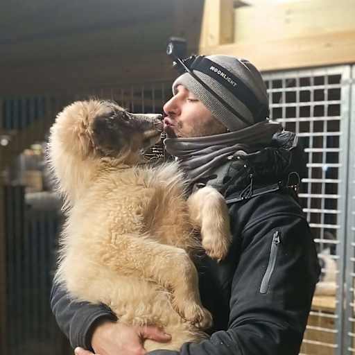 Profile image for pet sitter Steven