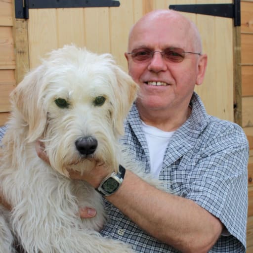 Profile image for pet sitter Dave