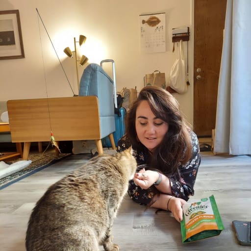 Profile image for pet sitter Mariko