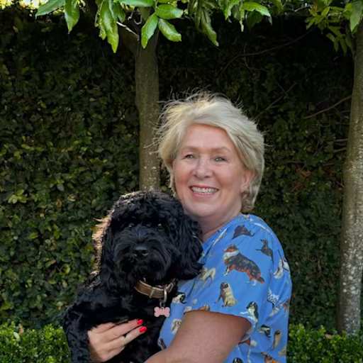 Profile image for pet sitter Katy