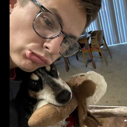 Profile image for pet sitter Ruslan