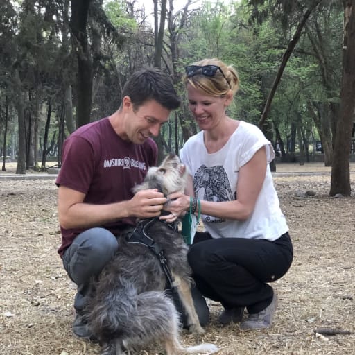 Profile image for pet sitters Amanda & Greg