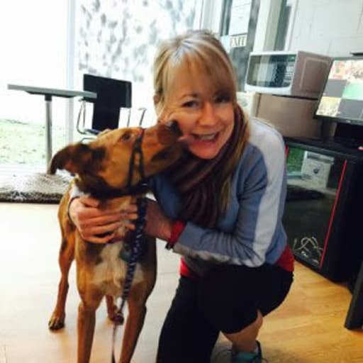 Profile image for pet sitter carolyn