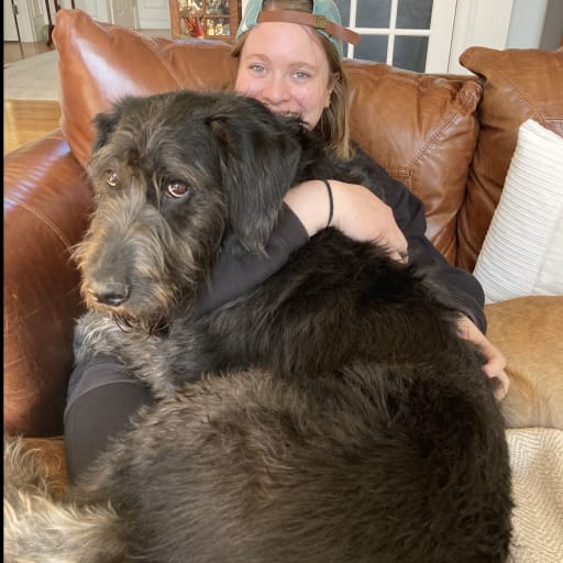Profile image for pet sitter Lindsey