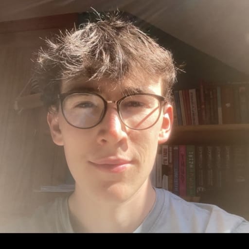 Profile image for pet sitter oisín