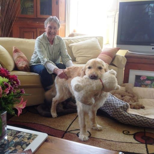 Profile image for pet sitters Beverley & Don