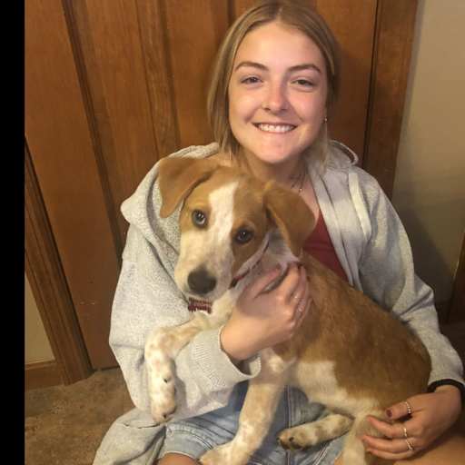 Profile image for pet sitter Megan