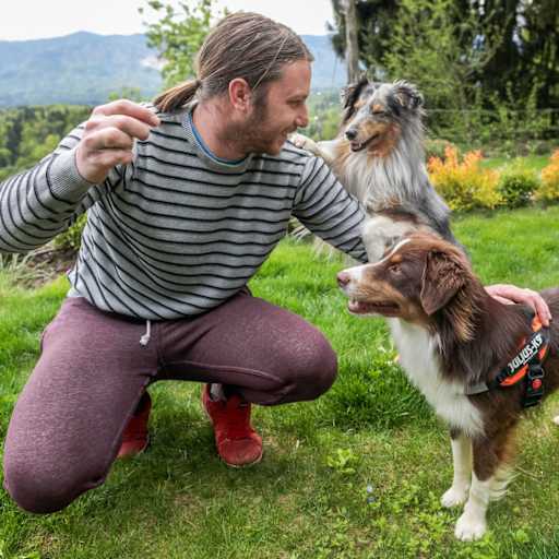 Profile image for pet sitter Tjas