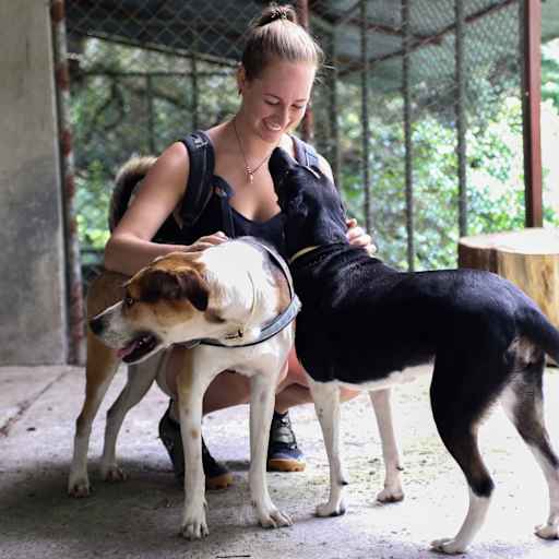 Profile image for pet sitters Fabienne & Eitan