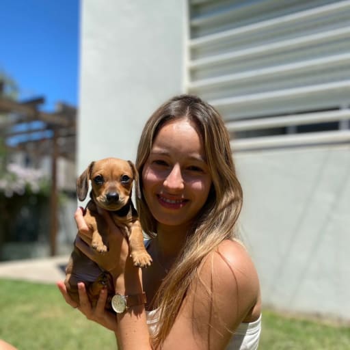 Profile image for pet sitters valentina & Alberto Yamil
