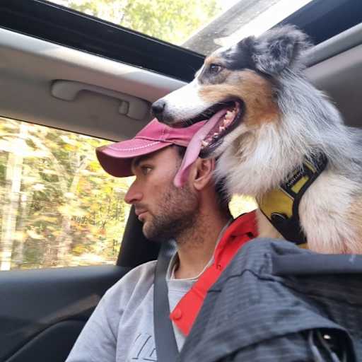 Profile image for pet sitter Riccardo