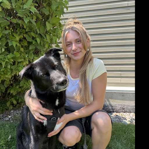 Profile image for pet sitter Kira