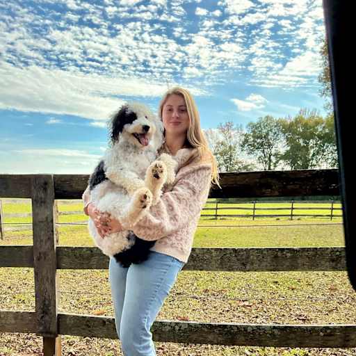 Profile image for pet sitter Allison