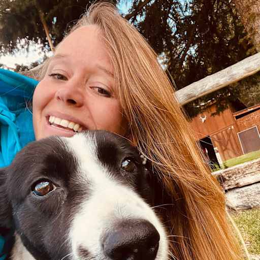 Profile image for pet sitter Talia