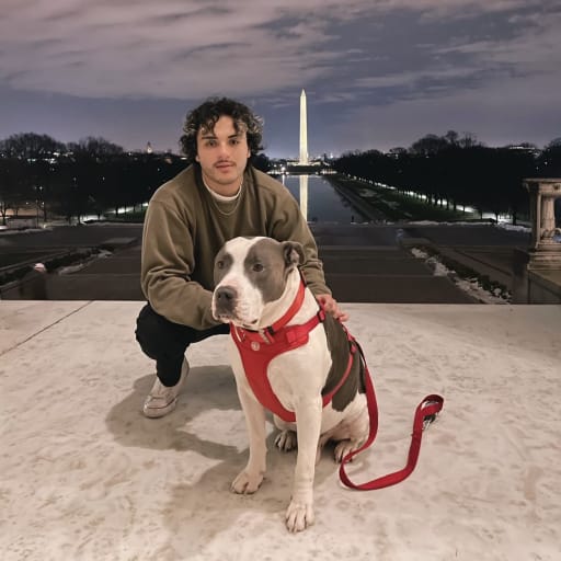 Profile image for pet sitter Sergio