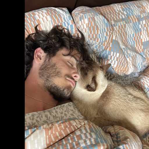 Profile image for pet sitter John