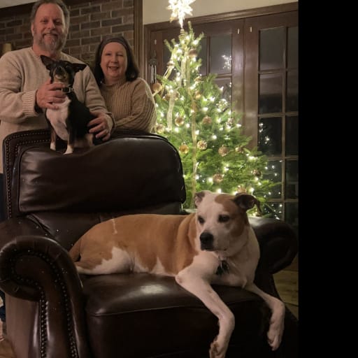 Profile image for pet sitters Judy & Rex